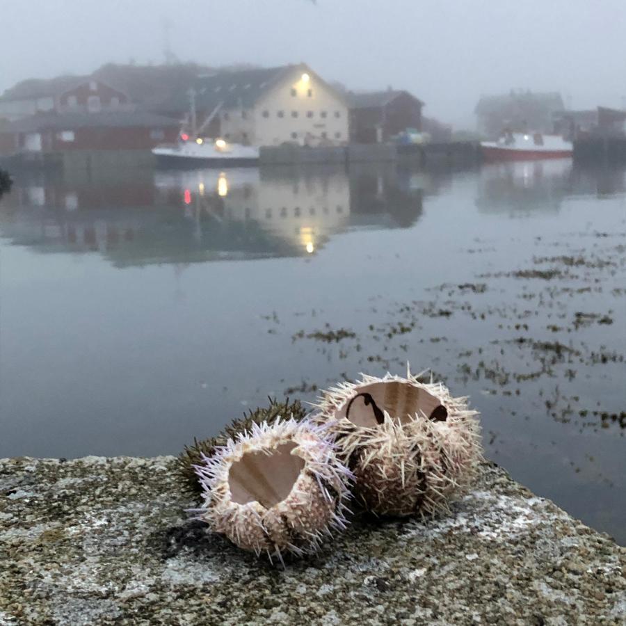 Laukvik Suites Eksteriør bilde
