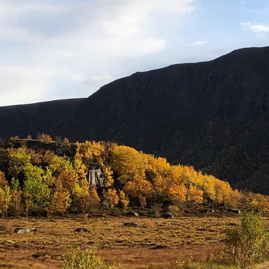 Laukvik Suites Eksteriør bilde